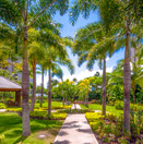 BBQスペースやプールのあるガーデン